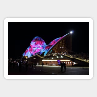 Sydney Opera House during the Vivid Festival Sticker